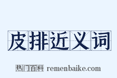 皮排近义词是什么意思的图片